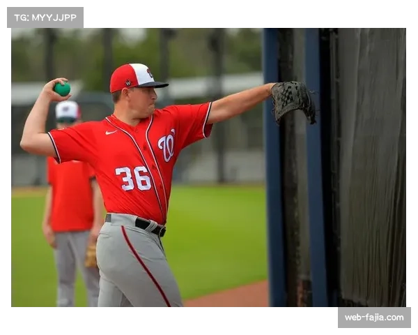 述评：红袜队农场系统丰收，三位新秀内野手在春训中竞争开幕名单席位